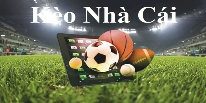 Các loại kèo nhà cái phổ biến